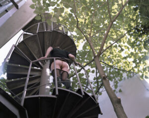 VOL 22-MEISA HIPS-018