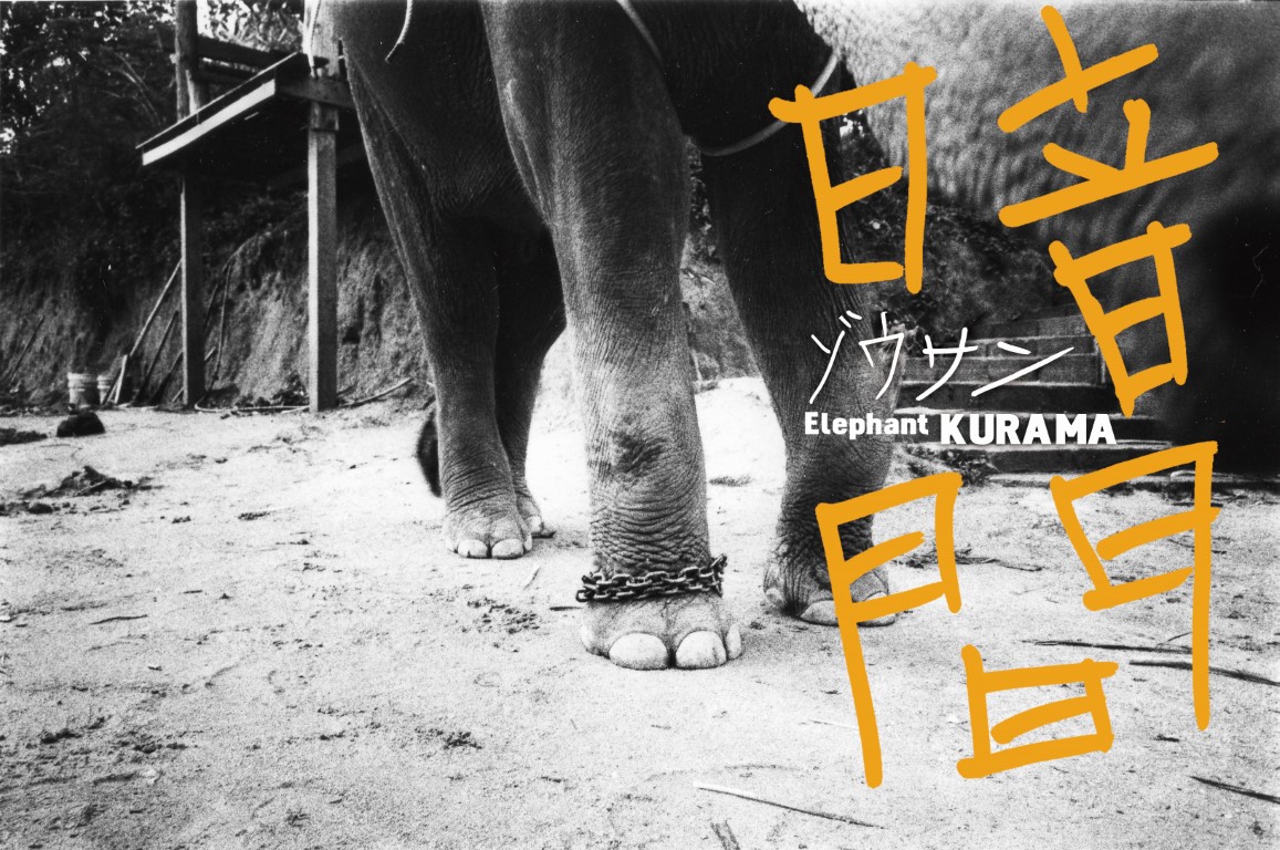 VOL 23 KURAMA ZOSAN Cover