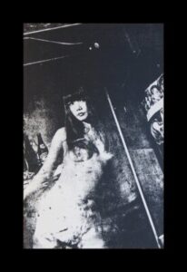 VOL-24-FUJITA_Silver-Eye-KIYO2016-serigraph-on-Canvas-76cmX116cm