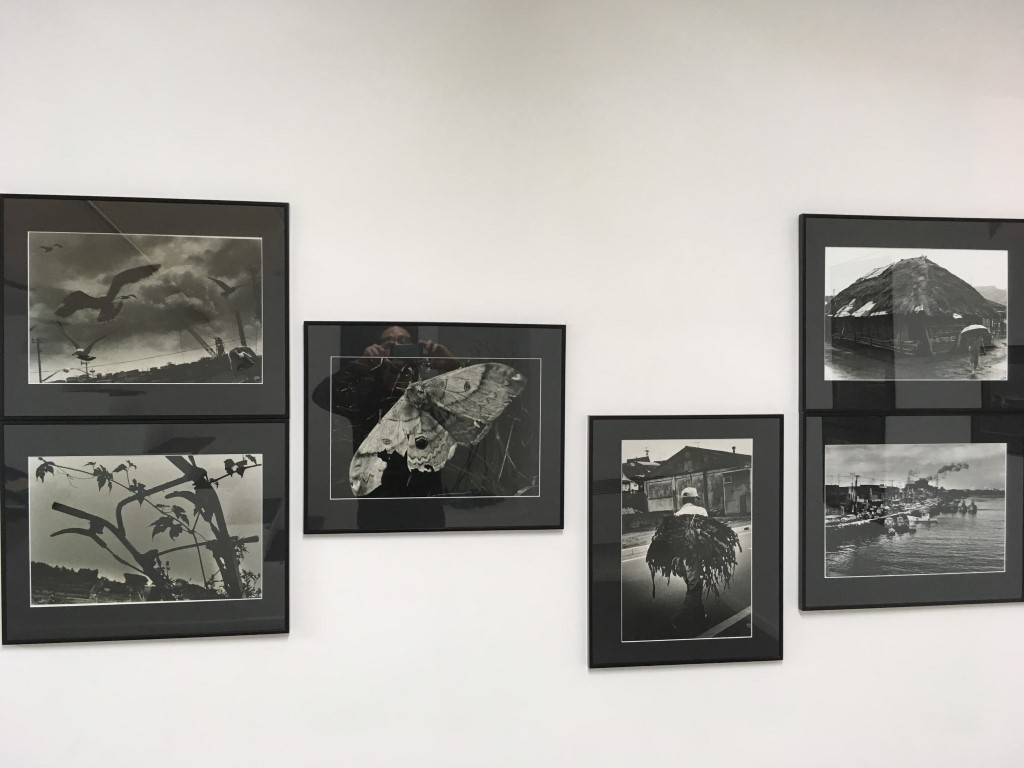 VOL-27-GALLRY WALLS-029