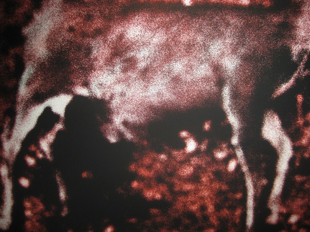 VOL-36 DAGATA CODEX-10B-036