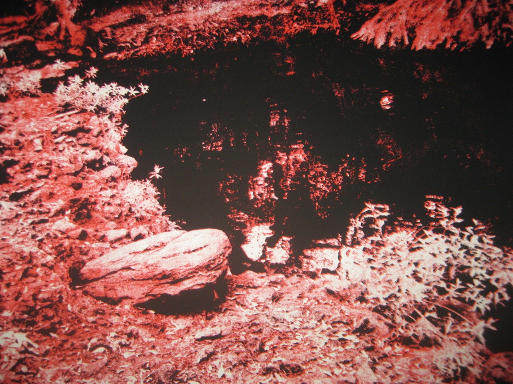 VOL-36 DAGATA CODEX-11B-038