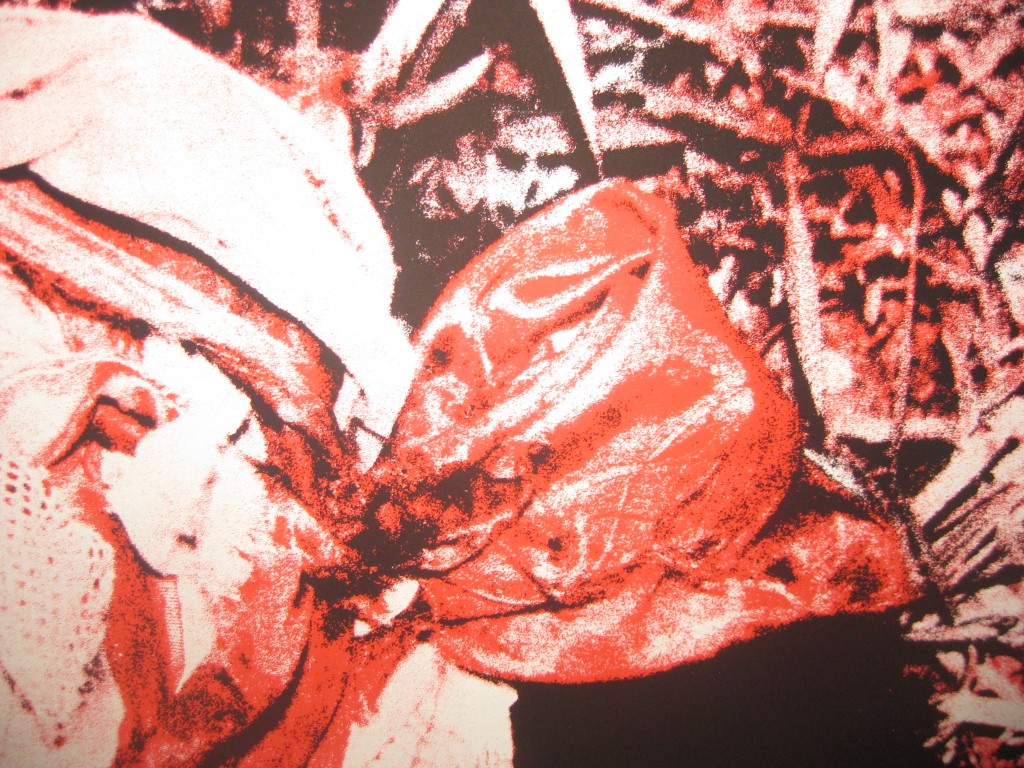 VOL-36 DAGATA CODEX-12B-040