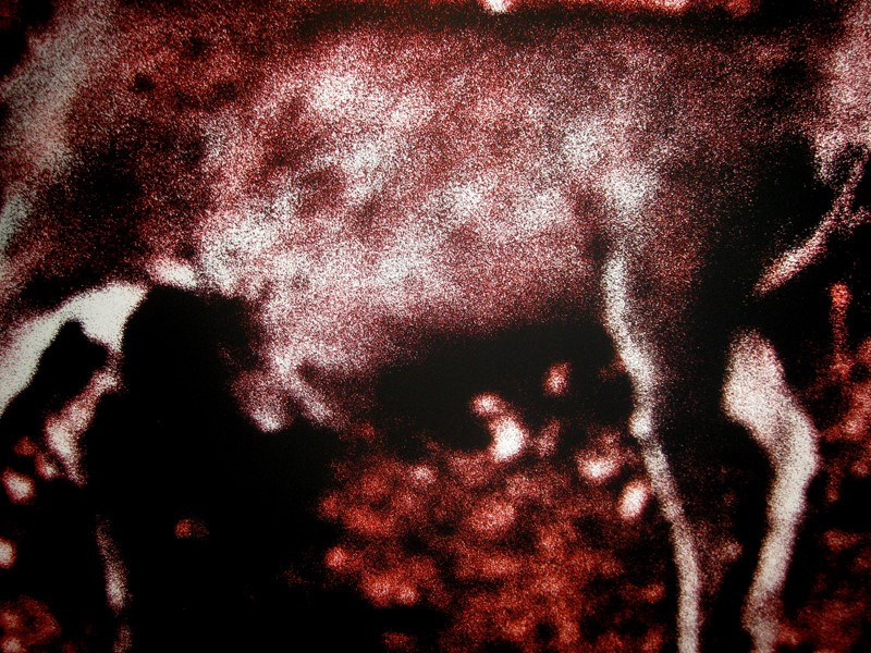 VOL-36 DAGATA CODEX-bambi gp 2-061