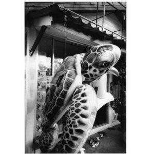 VOL 38 KURAMA BASEMENT PRINTS-15
