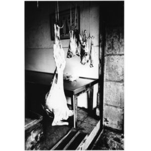 VOL 38 KURAMA BASEMENT PRINTS-22