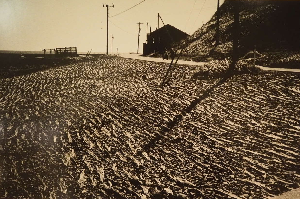 VOL 40NAKAFUJI BLACK ICE- 06