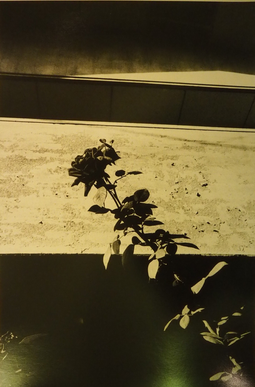 VOL 40NAKAFUJI BLACK ICE- 07