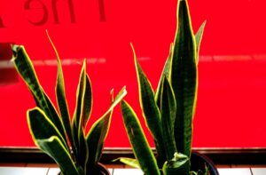 VOL 41 MORTEN FAST CITY EXHPIC-03