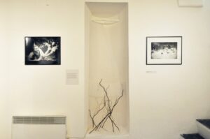 VOL30-EXHIBITIONPICS-Gilles_26