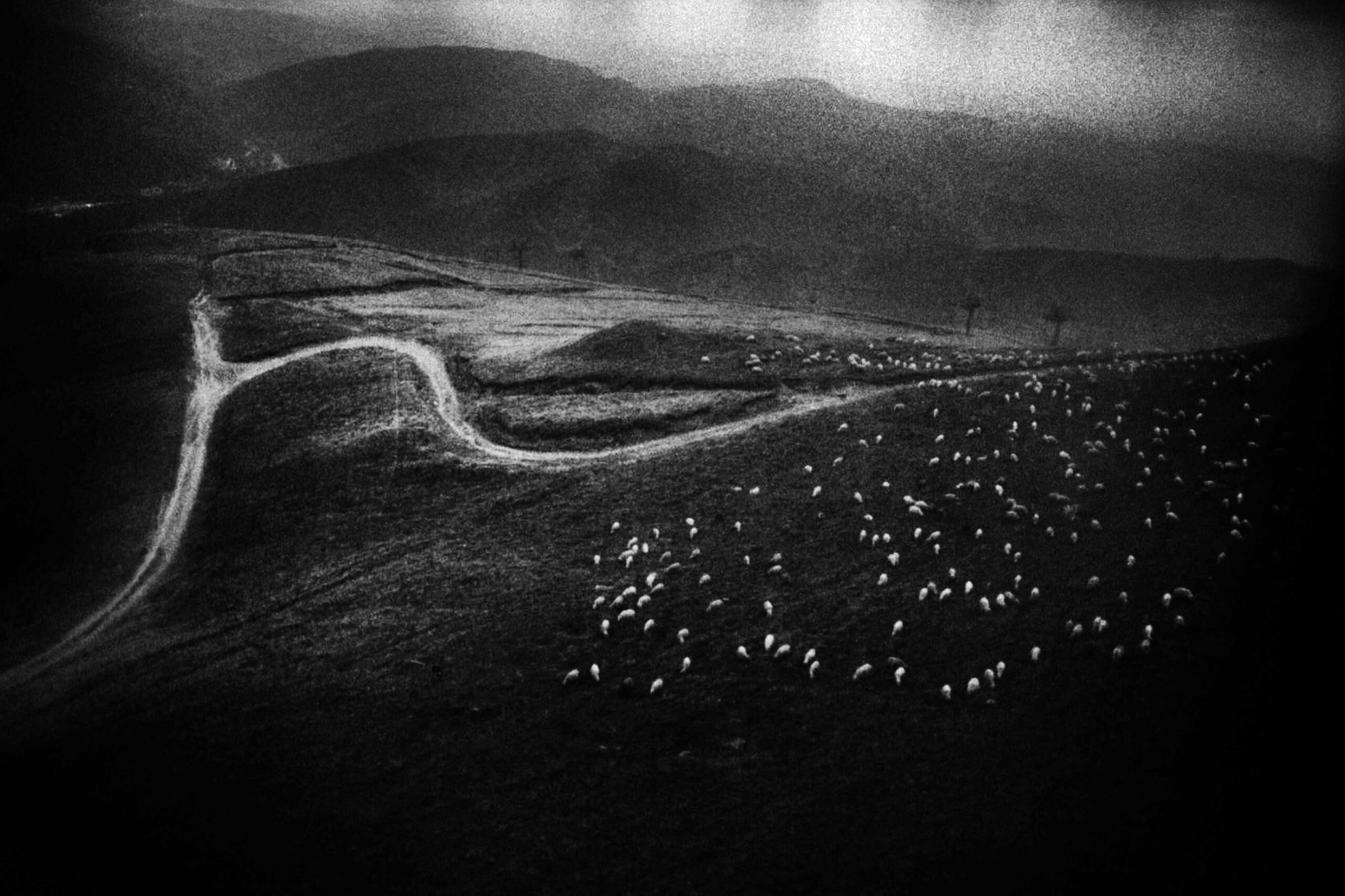 VOL30-Roudiere_Roumanie_2