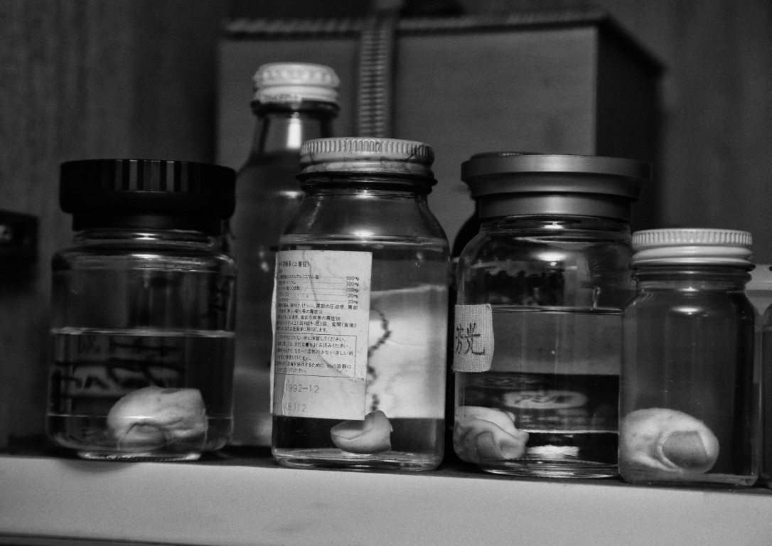 VOL32_Y-SEUNGWOO-SHINJUKULOSTCHILD-007