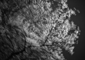 YANG SW-TheBestDays-008