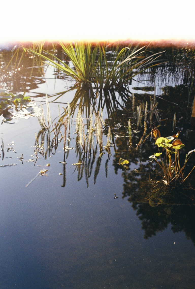 223_Amour Defendu_59578-000002s-2023