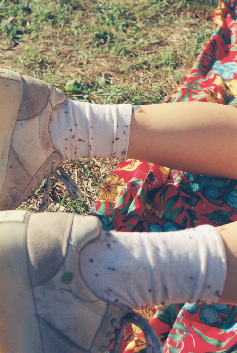 223_Amour Defendu_59719-000035-2023