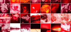 JP-NIGHT-5-Sanguine-Tissa D-018