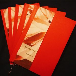 JP-NIGHT-5-satie-book cover-Tissa D-019