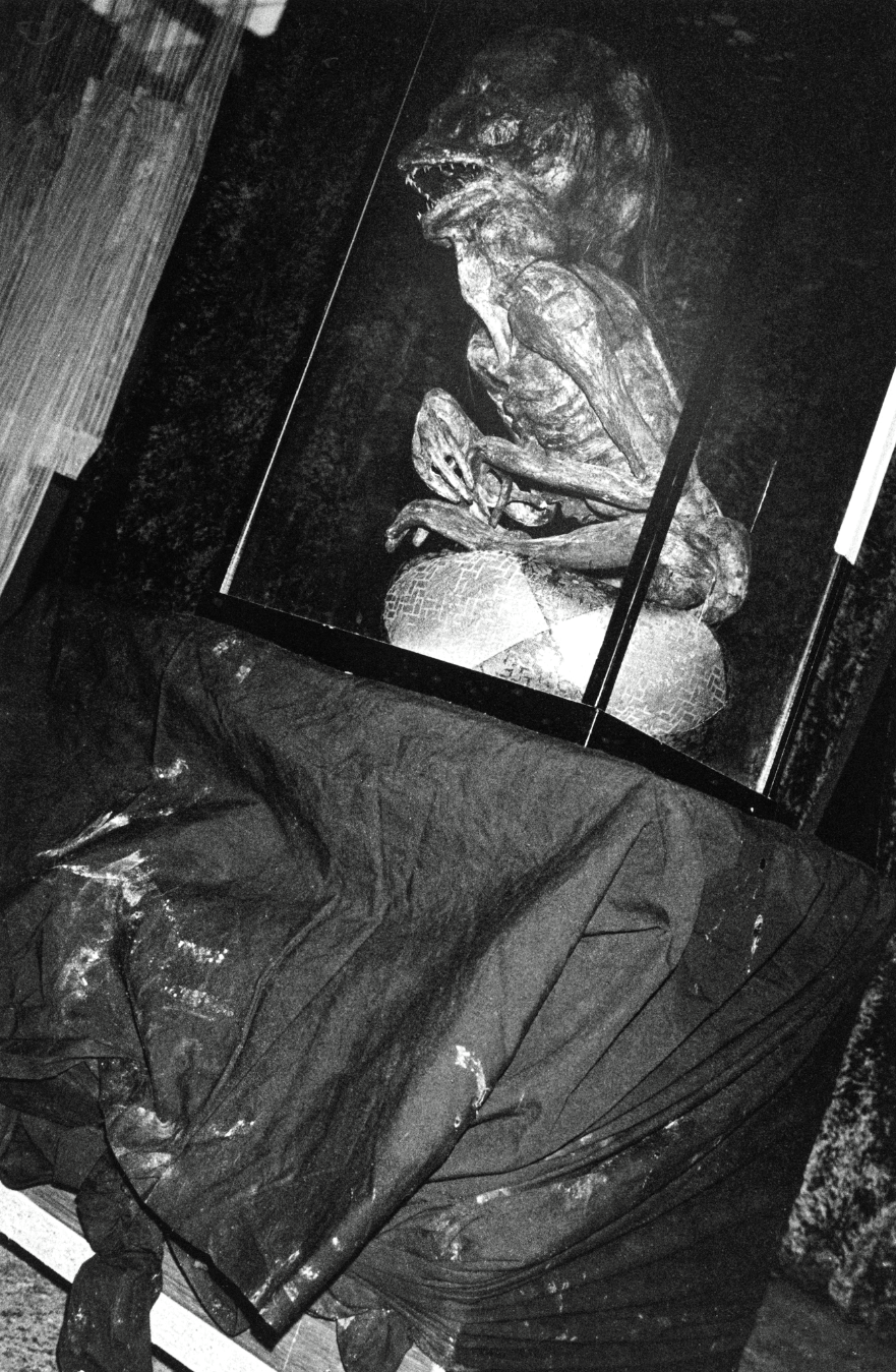 JP-NIGHT-6-FUJITA-Promised Land-3-003