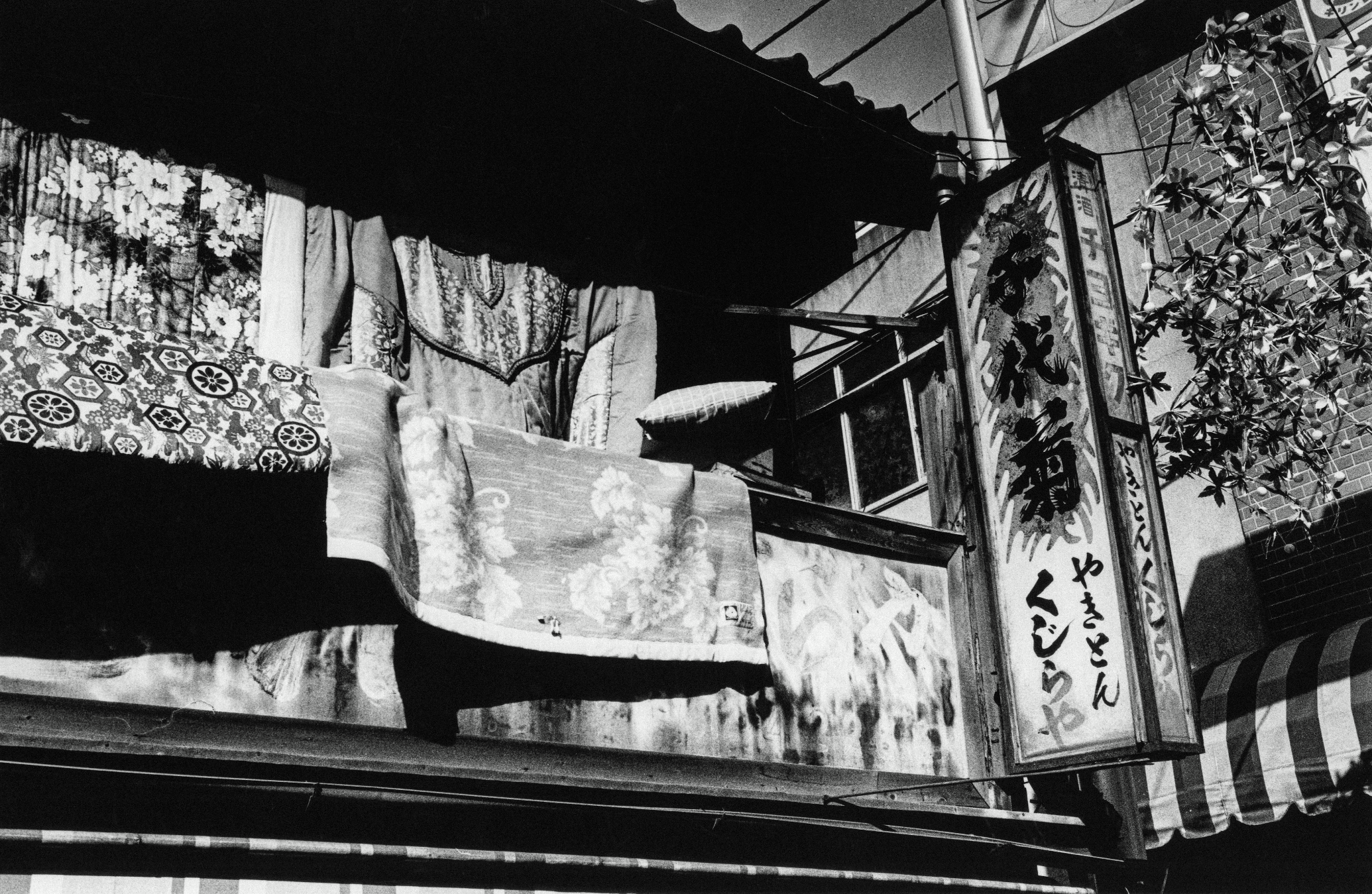 JP-NIGHT-6-FUJITA-Promised Land-6-010