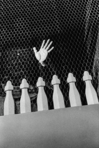 JP-NIGHT-6-FUJITA-Promised Land-9-007