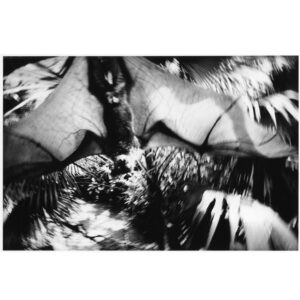 JP-NIGHT-6-KURAMA-2-KAMESAN