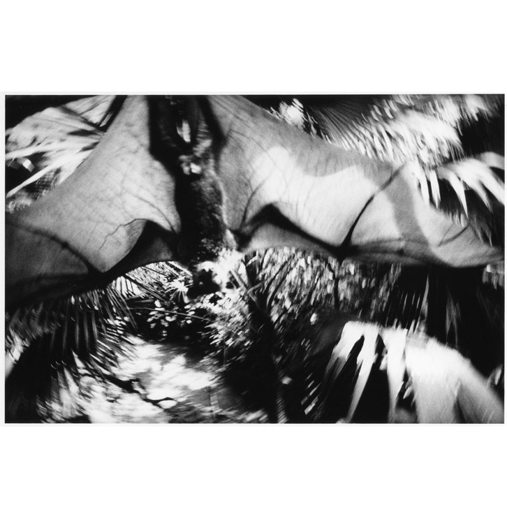 JP-NIGHT-6-KURAMA-2-KAMESAN