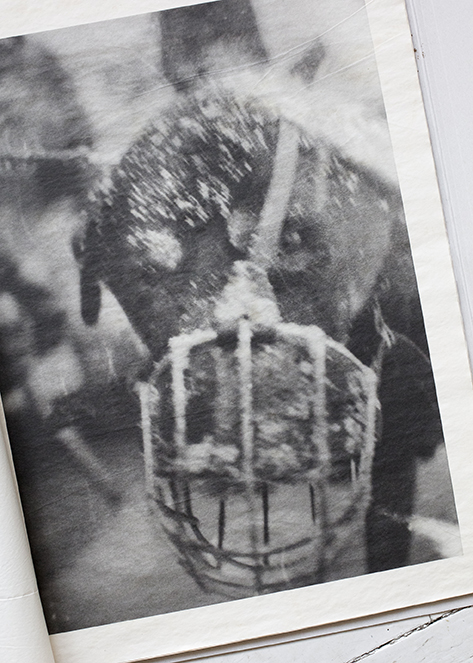 JP-NIGHT-6-Martin-HOLLOW-009