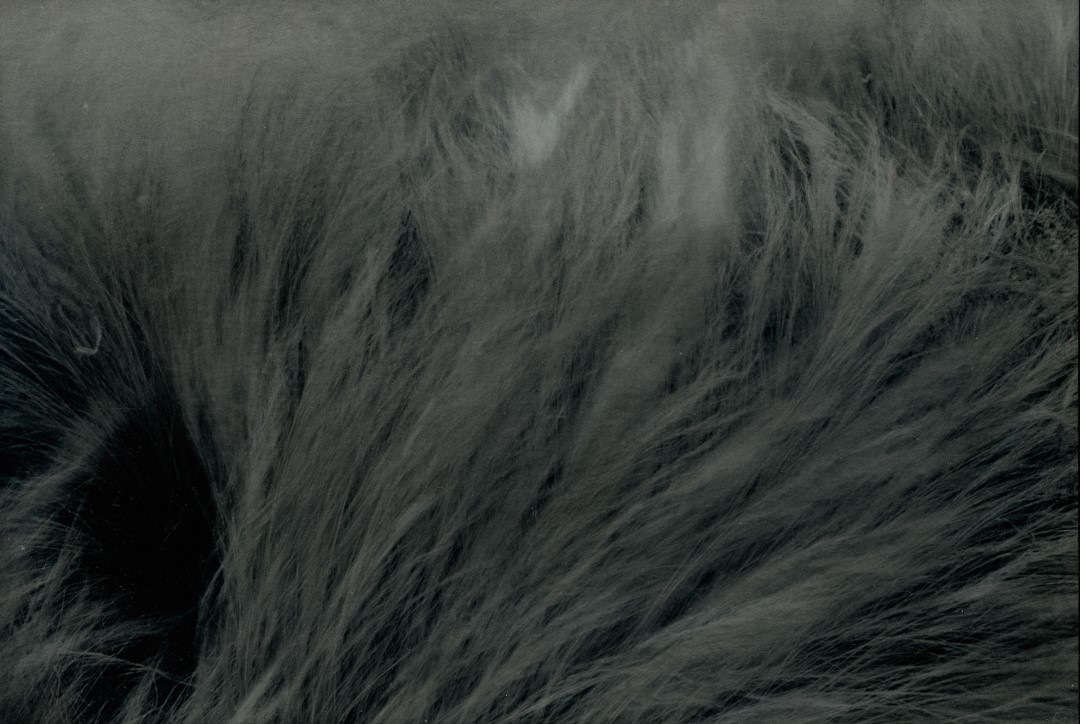 OFF REC VOL 11-FABIEN-005