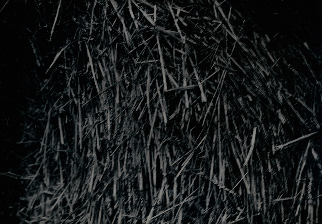 OFF REC VOL 11-FABIEN-007