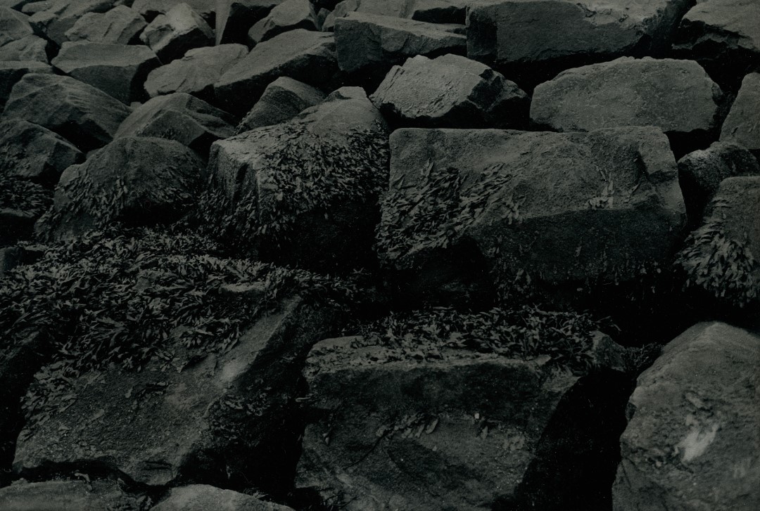 OFF REC VOL 11-FABIEN-009