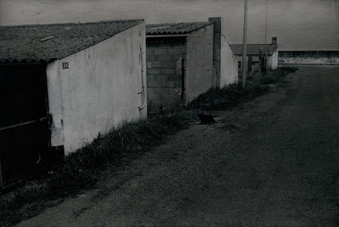 OFF REC VOL 11-FABIEN-019