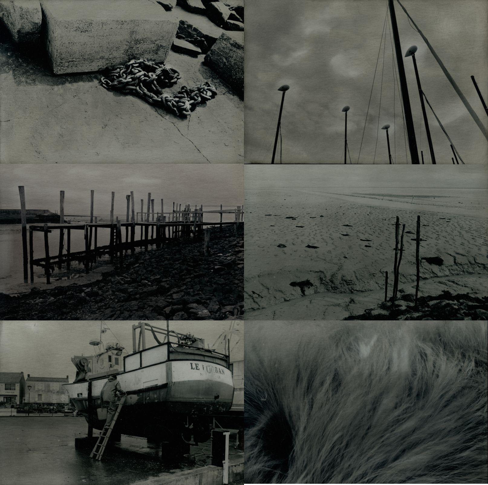 OFF REC VOL 11 fLYER WE