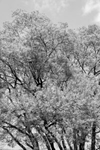 OFF REC VOL-12-LEE KI-WAN-Come slowly 2017-08-17