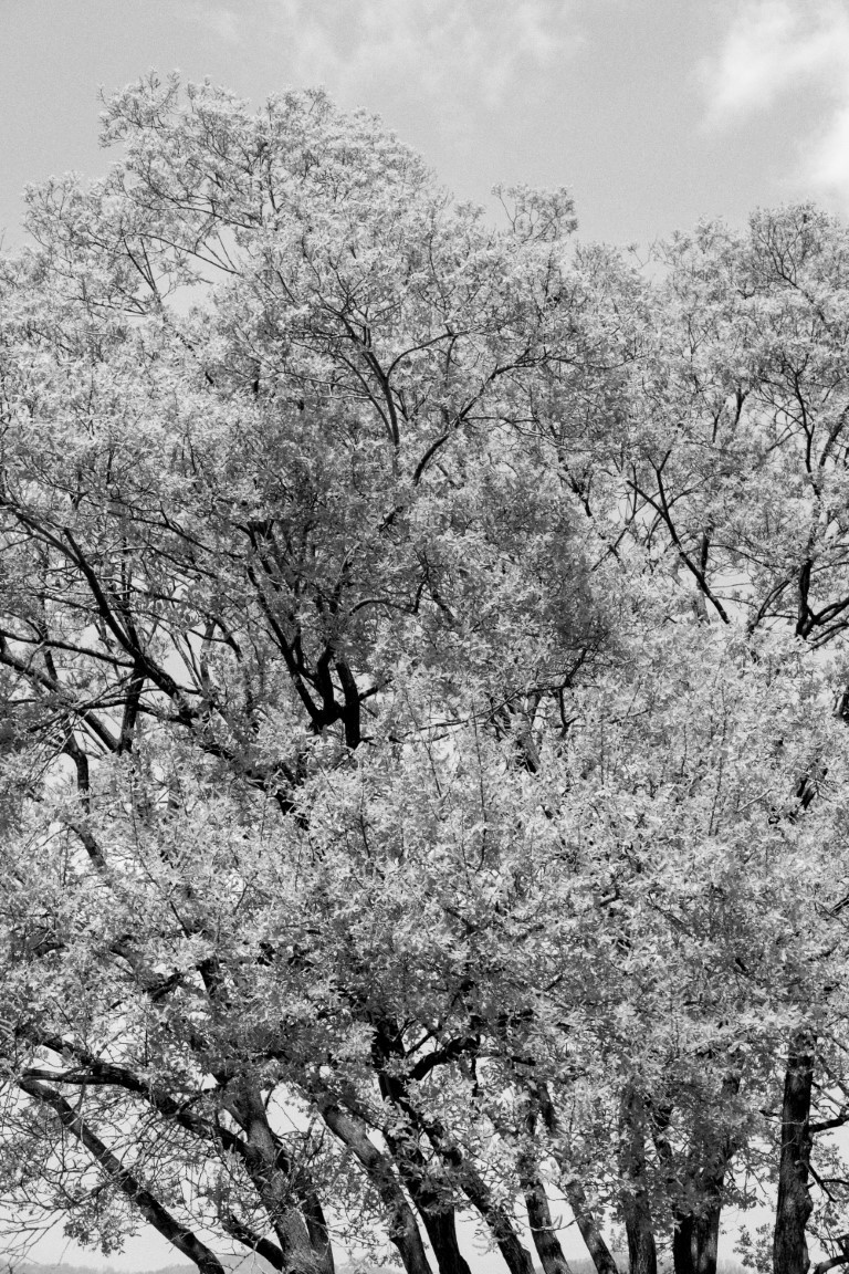 OFF REC VOL-12-LEE KI-WAN-Come slowly 2017-08-17