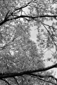 OFF REC VOL-12-LEE KI-WAN-Familiar warmth 2017-06-07