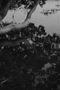 OFF REC VOL-12-LEE KI-WAN-Have you ever been asked a question. 2017-06-12