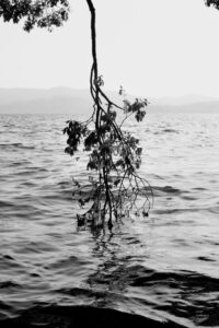 OFF REC VOL-12-LEE KI-WAN-Return 2018-05-10