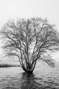 OFF REC VOL-12-LEE KI-WAN-Rumination 2017-07-04