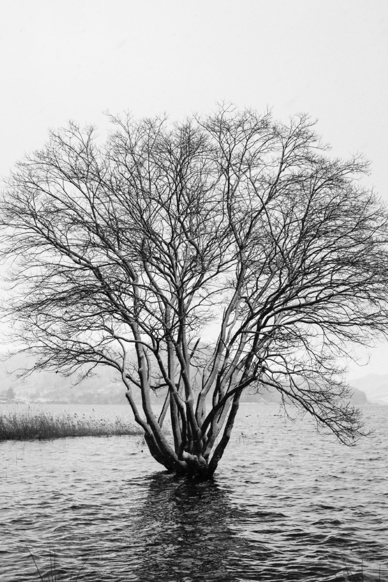 OFF REC VOL-12-LEE KI-WAN-Rumination 2017-07-04