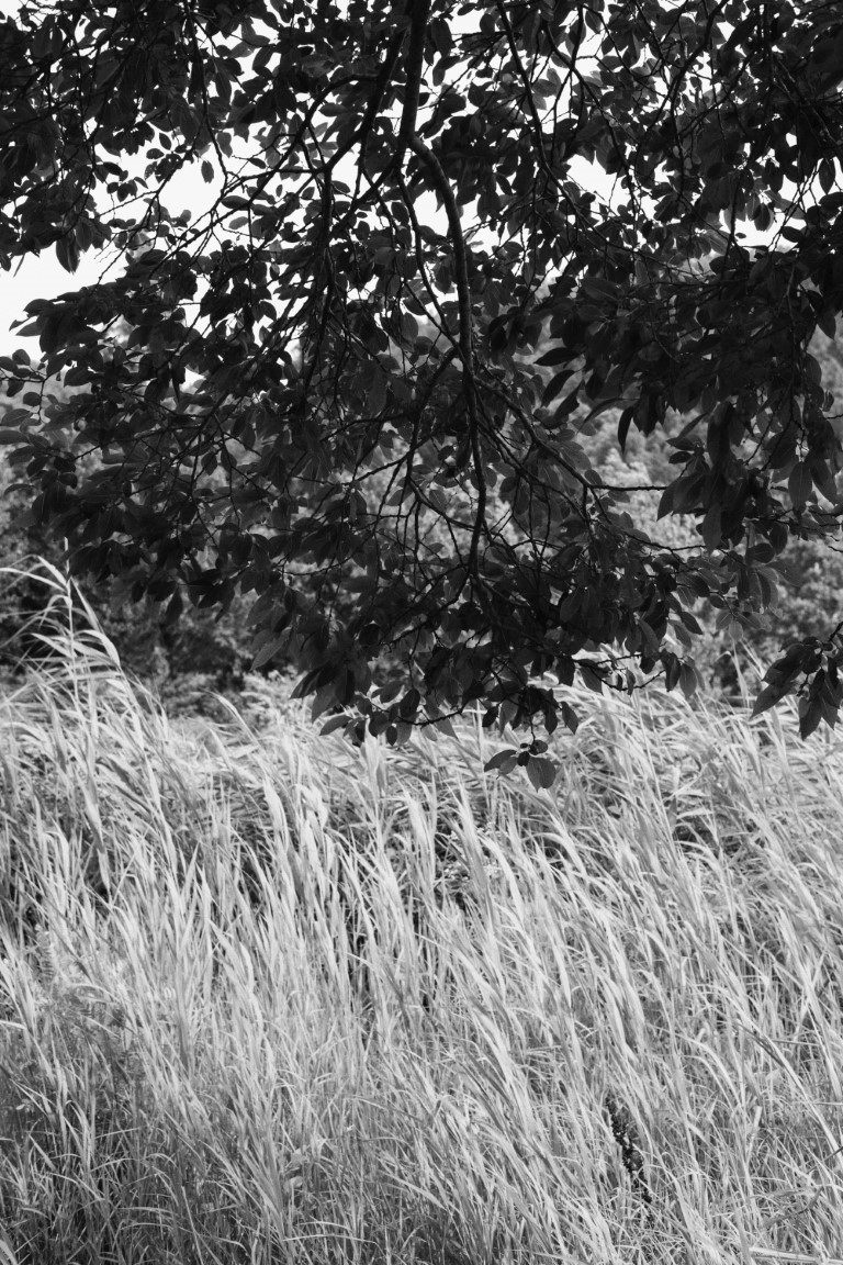 OFF REC VOL-12-LEE KI-WAN-Stranger 2017-04-17