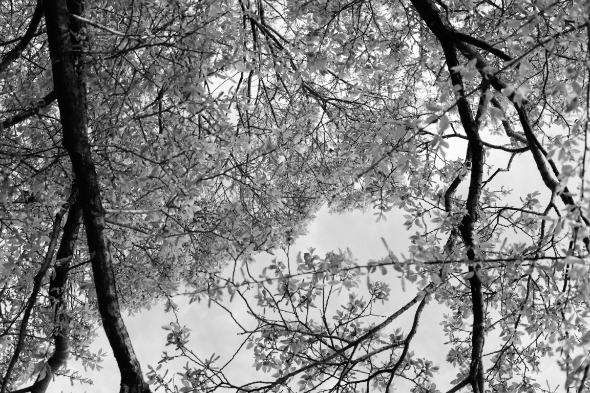 OFF REC VOL-12-LEE KI-WAN