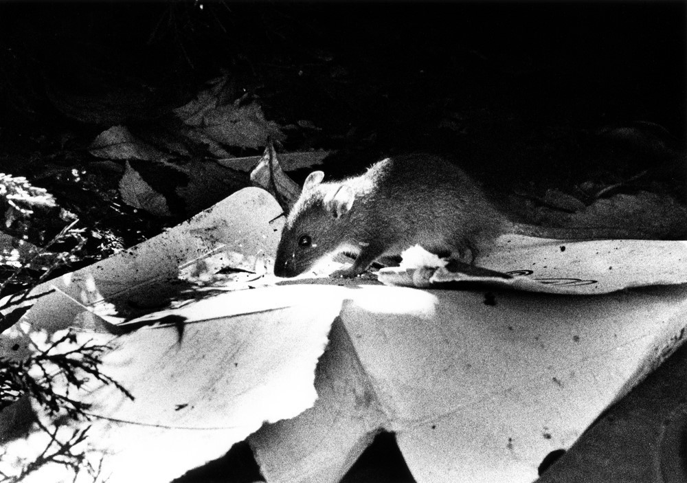 OFF REC VOL-12-RYUHEI YOKOHYMA-06