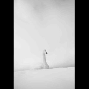 OFF REC VOL-14-ZENTSU-002