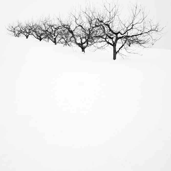 OFF REC VOL-14-ZENTSU-004