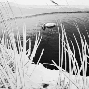 OFF REC VOL-14-ZENTSU-006