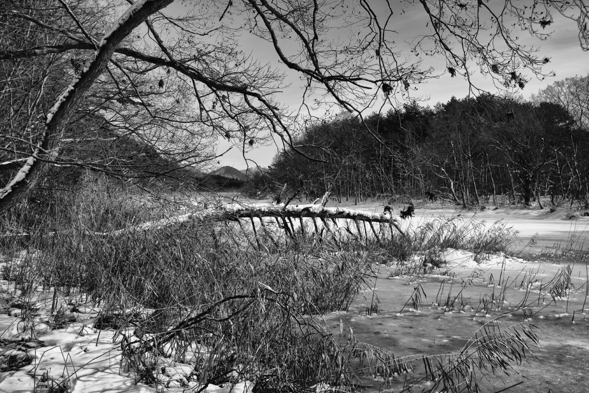 OFF REC VOL-14-ZENTSU-008