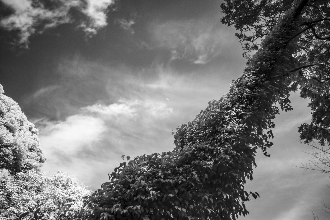 OFF REC VOL-14-ZENTSU-009