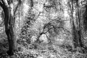 OFF REC VOL-14-ZENTSU-010