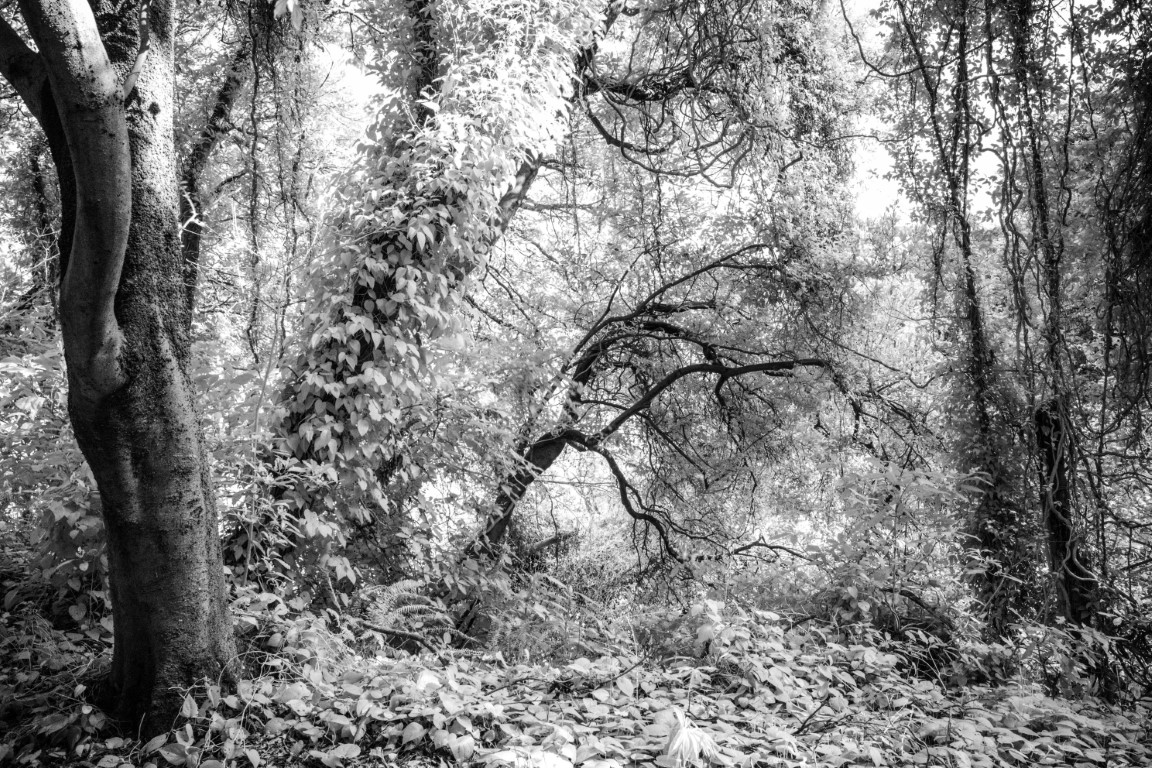 OFF REC VOL-14-ZENTSU-010