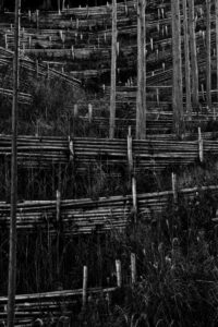 OFF REC VOL-14-ZENTSU-011